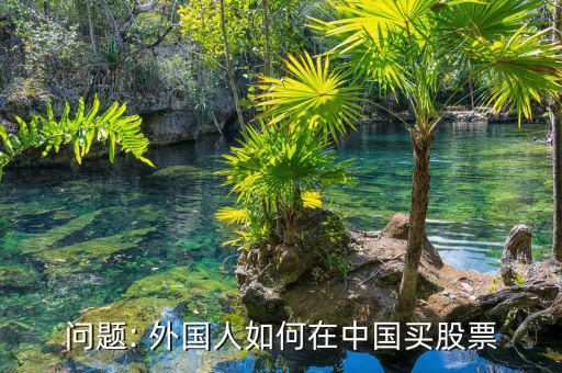 問(wèn)題: 外國(guó)人如何在中國(guó)買(mǎi)股票