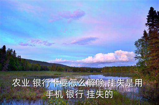 農業(yè) 銀行卡要怎么解除 掛失是用 手機 銀行 掛失的
