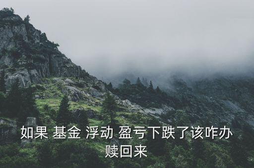 基金浮動(dòng)盈虧怎么提取,浮動(dòng)盈虧是正數(shù)，表示你賺了