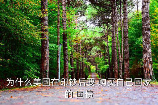 為什么美國(guó)在印鈔后要 購(gòu)買自己國(guó)家的 國(guó)債