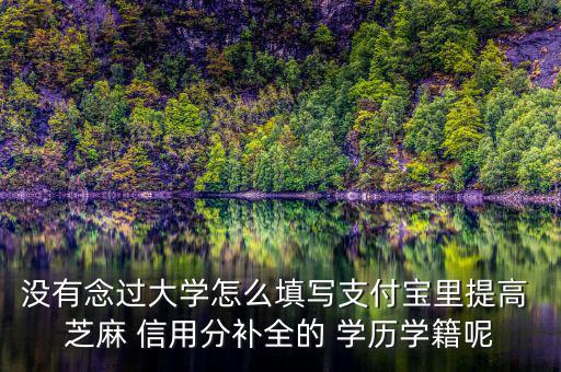 沒(méi)有念過(guò)大學(xué)怎么填寫(xiě)支付寶里提高 芝麻 信用分補(bǔ)全的 學(xué)歷學(xué)籍呢