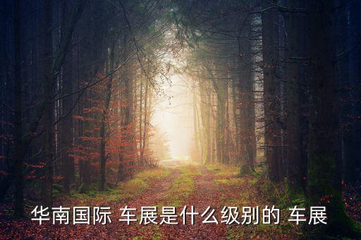 華南國(guó)際 車展是什么級(jí)別的 車展