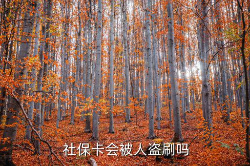 社?？ū槐I刷怎么辦,社保補(bǔ)卡服務(wù)丟了怎么辦