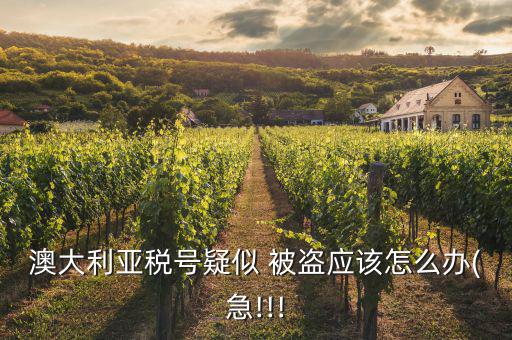 澳大利亞稅號疑似 被盜應該怎么辦(急!!!