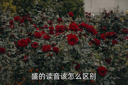 嘉盛中心的盛怎么讀,盛會(huì)、豐盛、茂盛、盛大等五個(gè)漢字