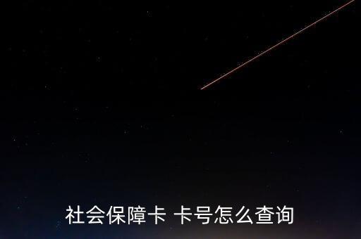 怎么找社?？ㄌ?hào),如何查詢社保賬號(hào)?一文看懂