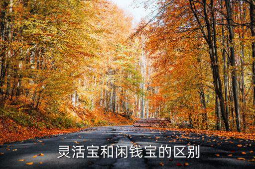 靈活寶1號(hào)怎么樣,錢(qián)錢(qián)寶和余額寶之別