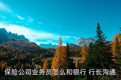 保險公司業(yè)務(wù)員怎么和銀行 行長溝通