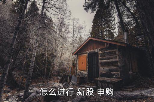 申購(gòu)新股市值怎么用,新股申購(gòu)條件:已開(kāi)立相應(yīng)市場(chǎng)的a股賬戶(hù)