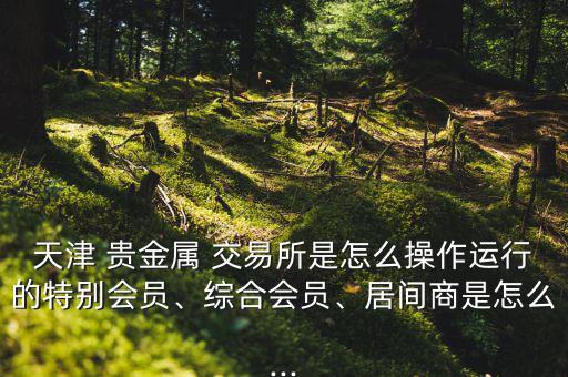 天津 貴金屬 交易所是怎么操作運行的特別會員、綜合會員、居間商是怎么...