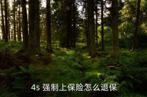 4s強(qiáng)制贈保險(xiǎn)怎么解決,汽車保險(xiǎn)知多少?