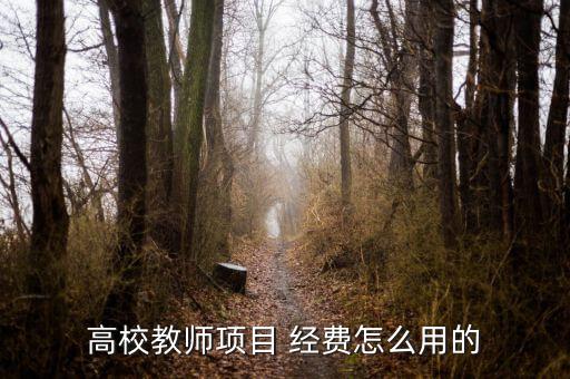 課題經費怎么花,第一次科研經費不是指科研獎勵或研研費用