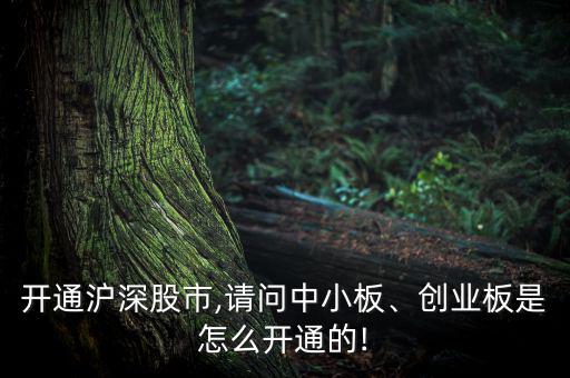 開通滬深股市,請(qǐng)問中小板、創(chuàng)業(yè)板是怎么開通的!