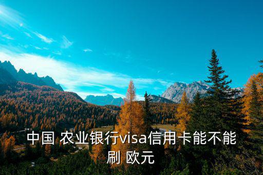 農業(yè)銀行卡歐元怎么查看,廣發(fā)易淘金app可查詢銀行存款余額