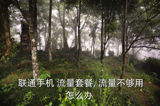 聯通4g流量不夠用怎么辦,如何辦理網絡流量套餐?