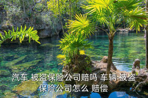 被盜車輛追回怎么賠償,車輛被盜保險公司:小偷應(yīng)當承擔責(zé)任