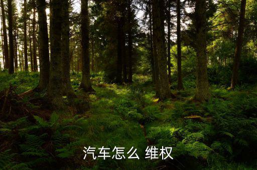 車子維權怎么寫,國內(nèi)第三方汽車質(zhì)量投訴平臺車之網(wǎng)正式上線