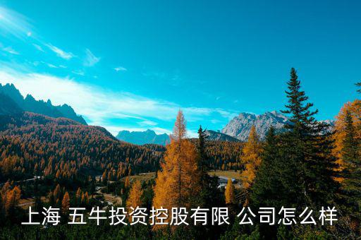 五?；鸸驹趺礃?上海五牛投資控股有限公司處于開業(yè)狀態(tài)