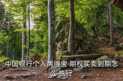 中國銀行個人兩得寶 期權買賣到期怎么 執(zhí)行