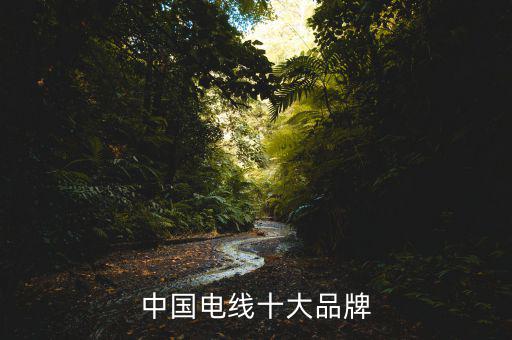 金杯電工人事工作怎么樣,國標電纜產(chǎn)品質量不怎么樣!