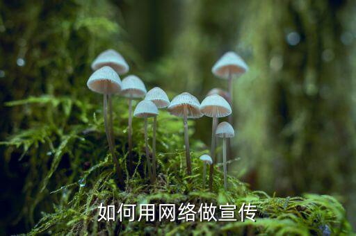 典當怎么和互聯(lián)網(wǎng)結合,關注房地產市場動態(tài)當局推出免費配套