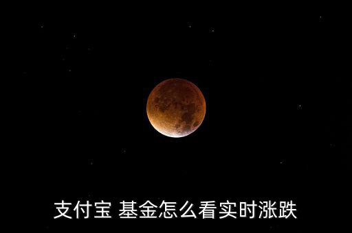 基金增長跌幅怎么看,支付寶-財富-基金查看實(shí)時漲跌