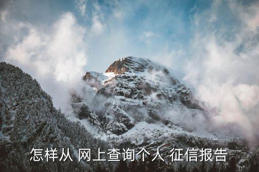 網(wǎng)上查看征信怎么能立即知道結果,個人征信如何查詢?