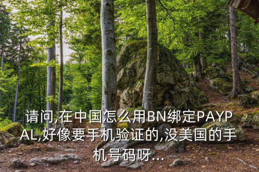 請(qǐng)問(wèn),在中國(guó)怎么用BN綁定PAYPAL,好像要手機(jī)驗(yàn)證的,沒美國(guó)的手機(jī)號(hào)碼呀...