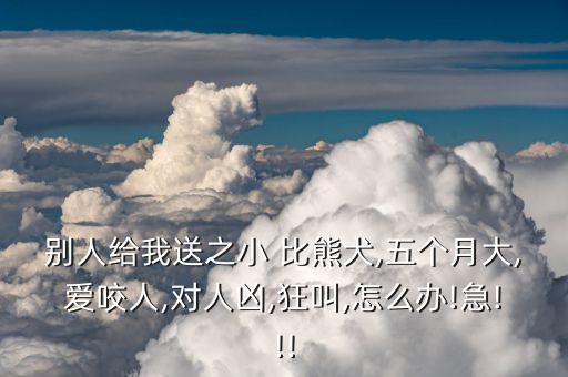 比熊犬叫人怎么辦,我和你一樣希望被尊重