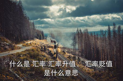 什么是 匯率 匯率升值、 匯率貶值是什么意思