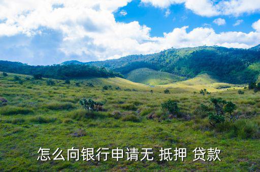 免抵押貸款是怎么貸,抵押貸款、擔(dān)保貸款一般略高于-0貸款