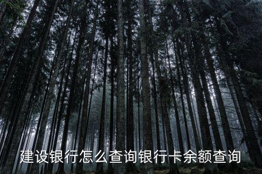 建設(shè)銀行怎么查詢(xún)銀行卡余額查詢(xún)
