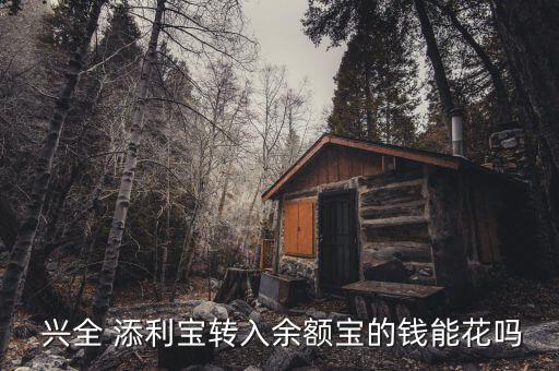  興全 添利寶轉(zhuǎn)入余額寶的錢(qián)能花嗎