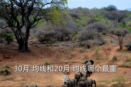 30月均線怎么設,均線系統(tǒng)的形成及運用