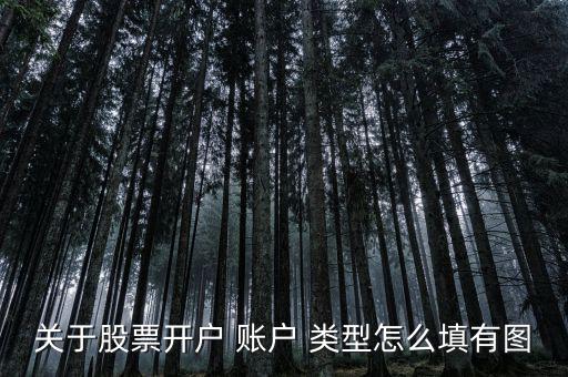 關(guān)于股票開(kāi)戶 賬戶 類型怎么填有圖