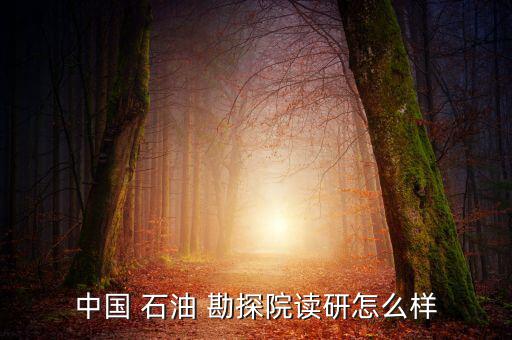 中國(guó) 石油 勘探院讀研怎么樣