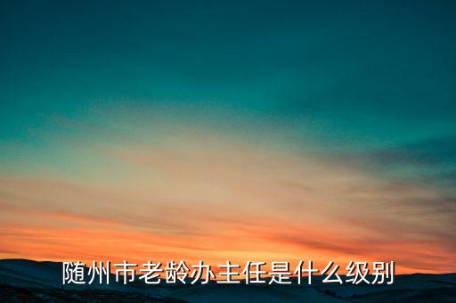 全國(guó)老齡辦副主任什么級(jí)別，全國(guó)老齡委辦公室副主任 什么級(jí)別
