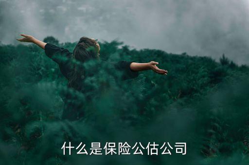 什么是承保公估，保險中的公估是什么概念