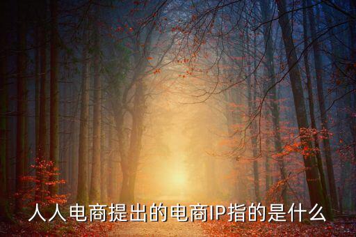 什么是ip經(jīng)濟(jì)，人人電商提出的電商IP指的是什么