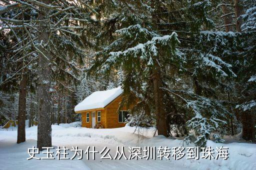史玉柱為什么去西藏，史玉柱個人簡介