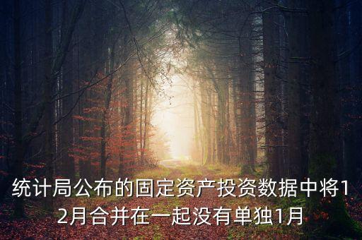 固定資產(chǎn)投資為什么沒有1月份數(shù)據(jù)怎么處理，上月購進一固定資產(chǎn)月初建賬時期初數(shù)據(jù)沒有將該固定資產(chǎn)錄入