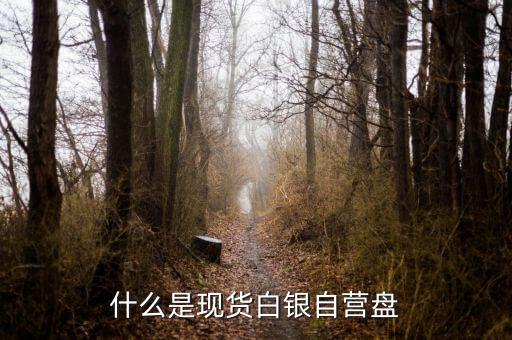 現(xiàn)貨盤(pán)是什么，國(guó)際盤(pán)現(xiàn)貨是什么意思