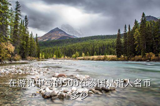 國金50b是什么，國金證券券商代碼是什么