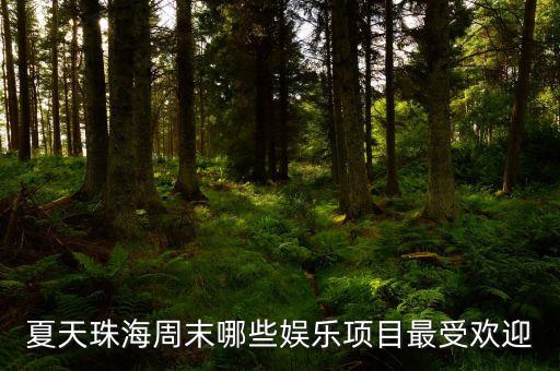 珠海巨濤有什么項(xiàng)目，珠海巨濤在哪里