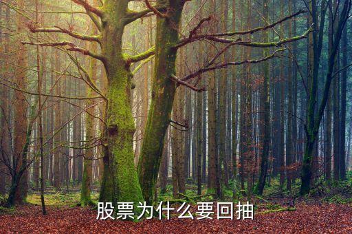 為什么回抽確認(rèn)，股價(jià)突破重要阻力位后為什么一般都要回抽確認(rèn)
