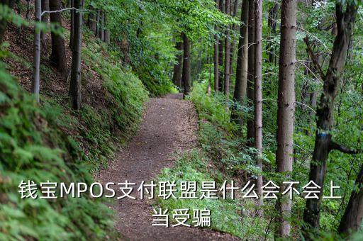 恒寶mpos是什么，錢寶MPOS支付聯(lián)盟是什么會不會上當受騙