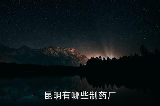 昆藥全資子公司都有什么，昆明有哪些制藥廠