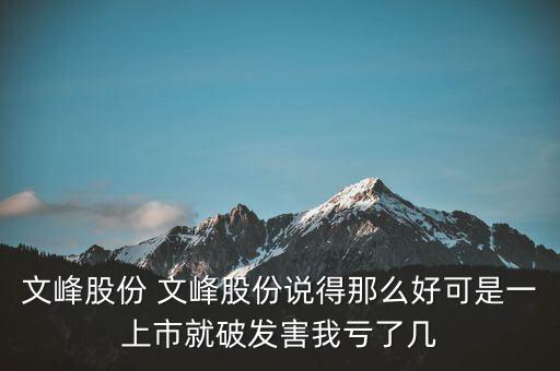 文峰股份是什么公司，文峰股份怎么樣