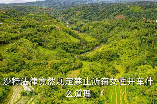 為什么沙特女人不能開車，全球唯一禁止女司機開車的是哪個國家