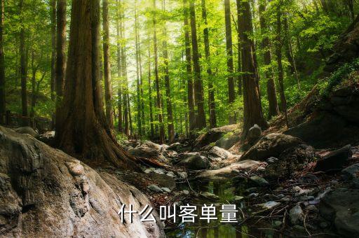 客戶規(guī)模包括什么，用戶規(guī)模什么意思與用戶數(shù)量有什么區(qū)別
